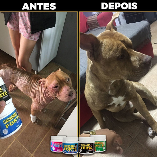 Vitamina Para Abrir O Apetite Cachorro Forte 250g