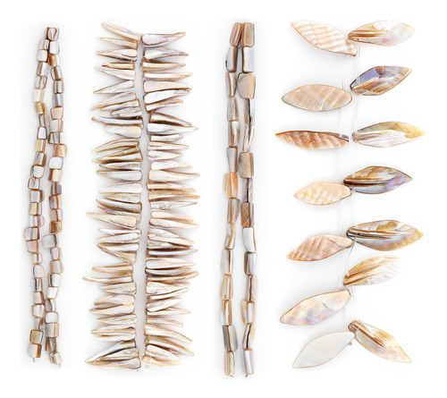 Expo International Magnolia Sea Shell Collection Value Pack 