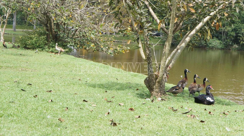 Terreno À Venda, 1644 M² Por R$ 904.000,00 - Granja Viana Ii - Cotia/sp - Te1497