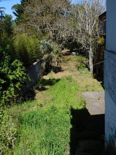 Venta Y Alquiler De Local Comercial E Roosevelt- Ref: 2481