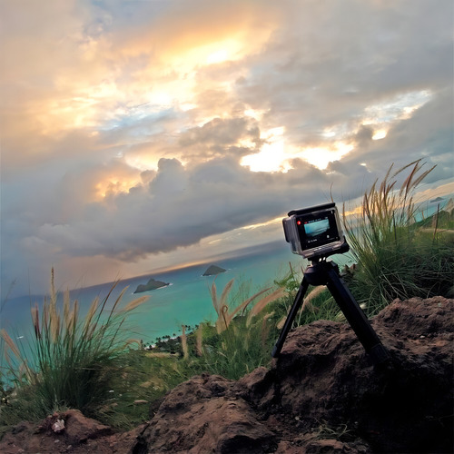 Tripé Para Gopro E Câmeras Compactas Gopole Bi-direcional