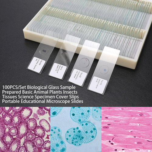 Kit De Muestras Biológicas Preparadas Para Microscopio 100 U