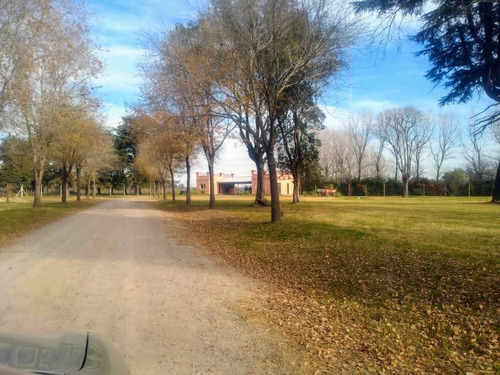 Imagen 2 de 8 de Terreno - Countries/b.cerrado (lujan)