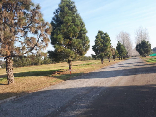 Imagen 4 de 6 de Terreno - Everlinks Golf & Country Club