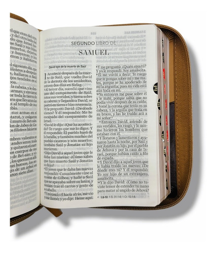 Imagen 5 de 10 de Biblia Juvenil Compacta Letra Grande 11 Pt Aguila Cafe
