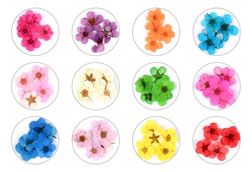 Valuu - Pegatinas Para Uñas Con Diseño De Flores Secas En