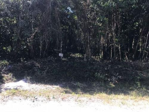 Terreno De 415 Mts Em Itanhaém Litoral Sul | 15 Mil Entrada
