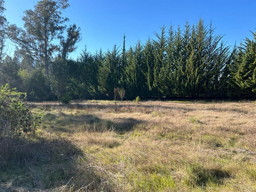 Arriendo Sitio Urbano Comercial 5.000 M2 Sector Patagual