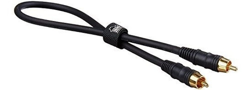Wired Home Sc1.5 único Rca Audio Video Cable 1.5 ft