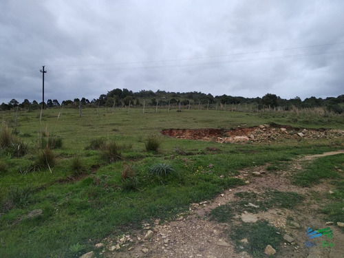 Imagen 27 de 30 de Vendo Excelente Chacra De 39 Hectáreas Para Granja Turística O Tambo, Aigua, Punta Del Este - Aiguá Aiguá