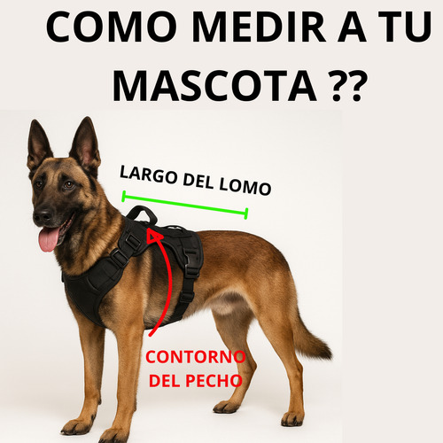 Arnes Para Perro- Pechera Pretal Antitirones Reforzado Negro L Pretal Negro
