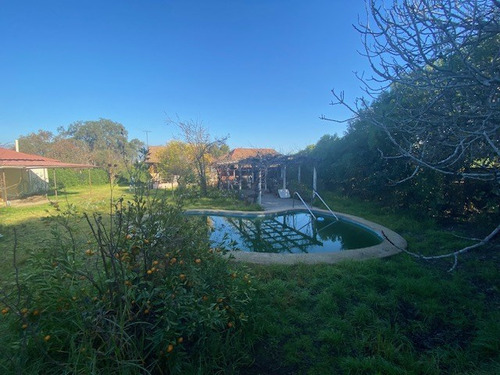 Casa Venta 2 Dormit, Pieza Baño Serv. Gran Terreno Olmue