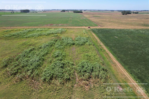 Campo En Venta Mixto De 246 Has En Saladillo