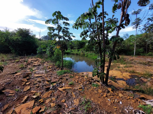 Imagem 2 de 9 de Chácara De 13.709 M² Com Açude À Venda Em Santa Terezinha De Itaipu/pr