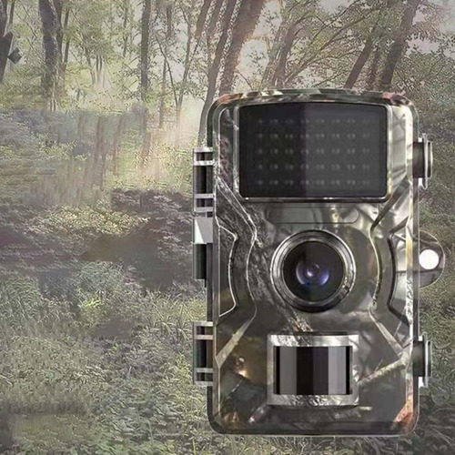 1920x1080 Trail Game Camera 49ft Para Monitoreo De Vida