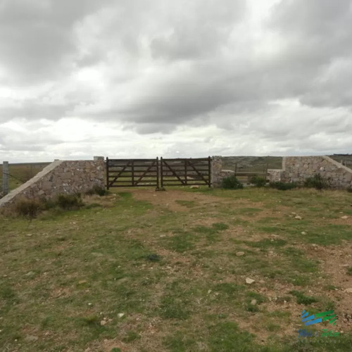 Excelente Campo Ganadero, Apto Para Olivos-vid-eucaliptus O Recreo, Sobre Ruta 12.