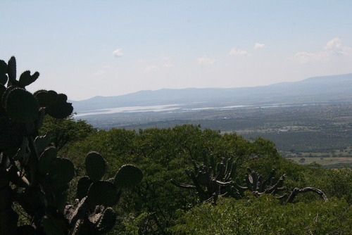 Imagen 6 de 30 de Terreno Campestre En Venta En Palo Colorado - San Miguel De
