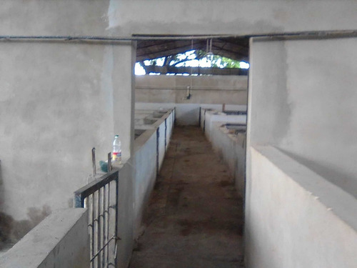 Imagen 10 de 12 de Excelente Granja En Venta