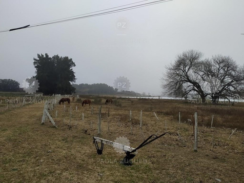 Imagen 18 de 25 de Terreno Campo En Venta En Berazategui, G.b.a. Zona Sur, Argentina