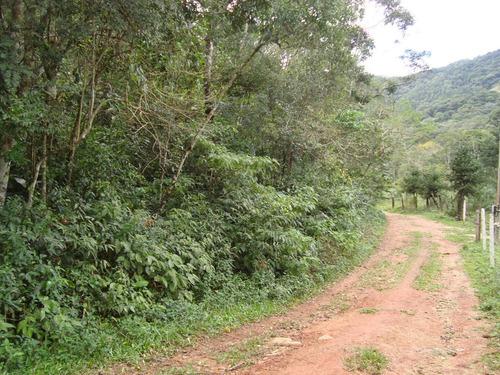 Imagem 12 de 14 de Terreno - Cachoeiras Do Amâncio - Biguaçu - Sc