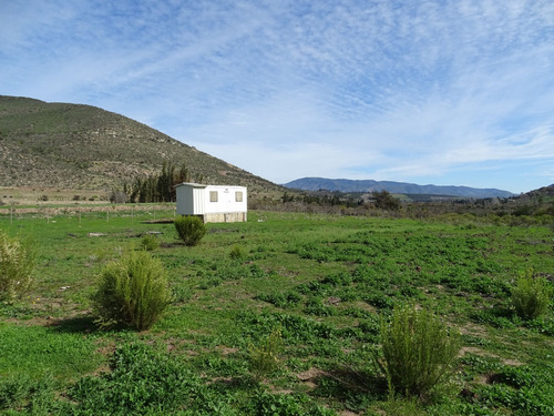 Parcelas 5.000 M2, Pintacura, Illapel, Coquimbo, Borde Rio