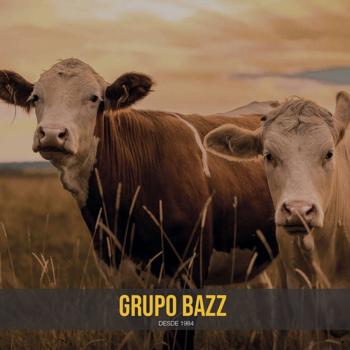 Tiza Barra Pintura Paintstick Cerdos Vacas Color A Eleccion