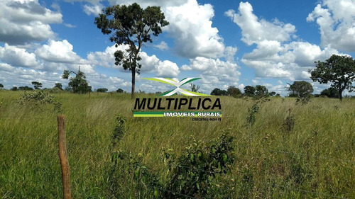 Chácara Parcelada Uberlandia 20.000 M², Entrada R$ 38.000,00 E Parcelas De - 391