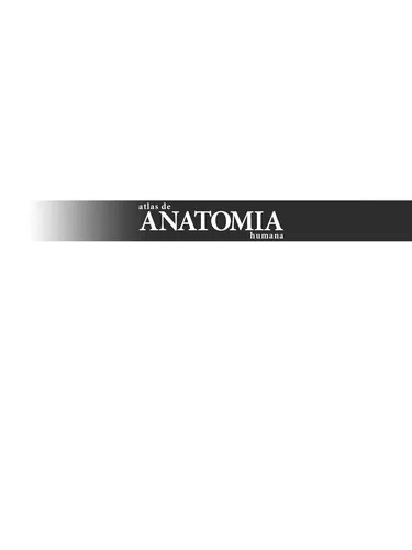Cadeias posteroanteriores e anteroposteriores - Grupo Editorial Summus