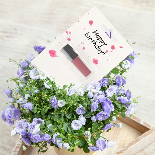 50 Blísteres Con Pegamento Para Bálsamos Labiales Y Carteras