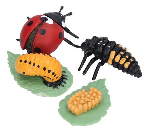 Figuras De Lady Bug Toy Life Cycle Con Forma De Mariquita De