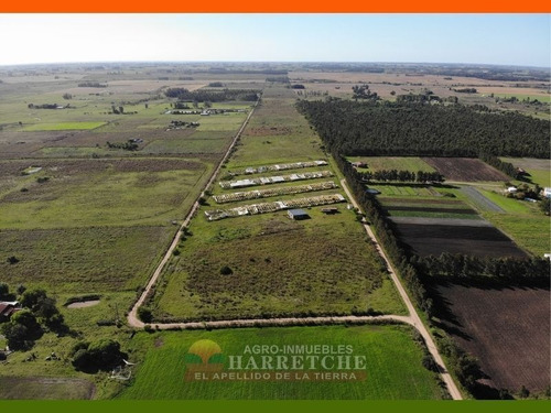 Chacra 10 Has En Venta - Monoambiente En Sauce