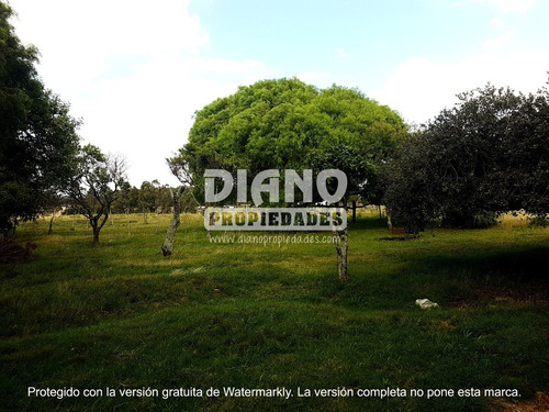Imagen 2 de 11 de Oportunidad - Chacra Completa - Campo Minas