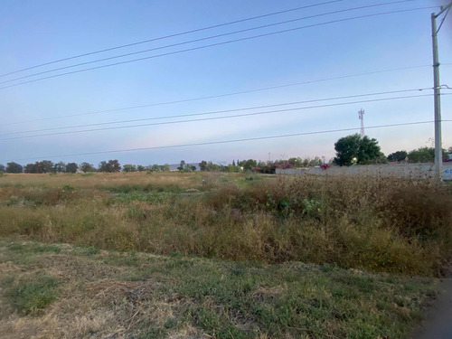 Se Venden 3 Hectáreas A Pie De Carretera