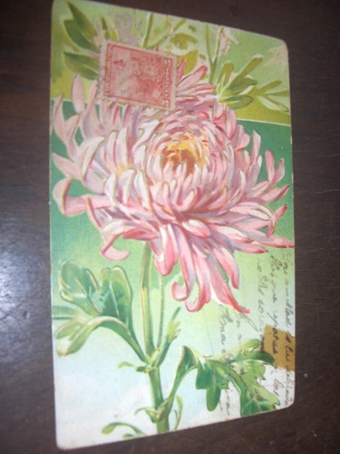 Cartão Postal Flor Em Alto Relevo 1907