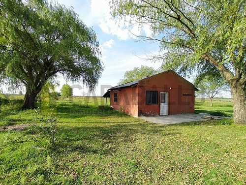 Imagen 9 de 21 de Casa Quinta En Venta - Belgrano A Norte - Gualeguaychú