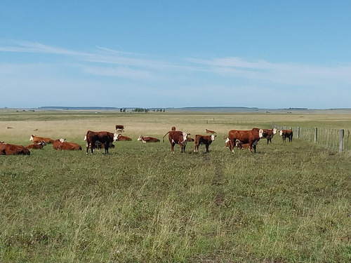 Excelente Estancia Ganadera 2881 Hectareas