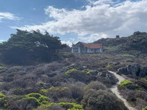 Terreno Subdividible 20.000 M2 Condominio Ensenada