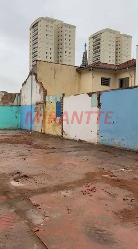 Imagem 3 de 4 de Terreno Em Ipiranga - São Paulo, Sp - 363024