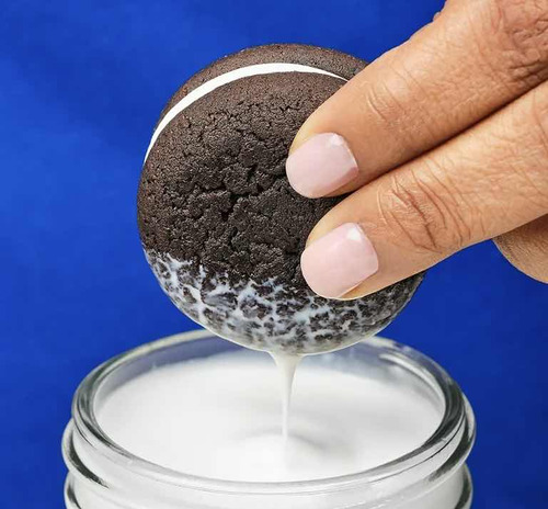 Oreo Cakesters