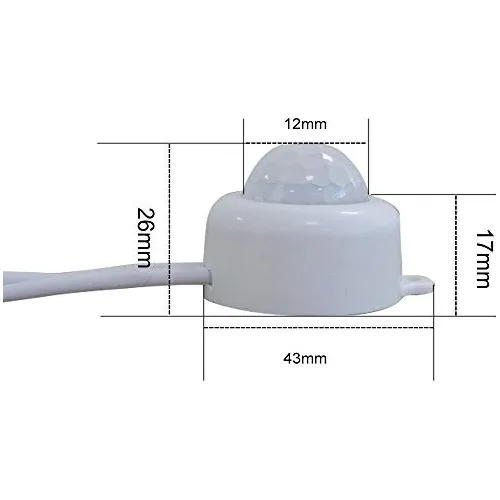 Mini Interruptor De Sensor Corporal Dc 5 V 2 A Pir Activado