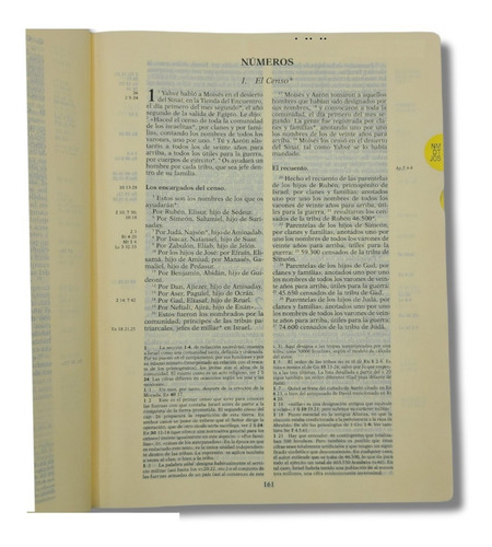 Imagen 9 de 9 de Biblia De Jerusalen Mediana De Lujo Con Caja Piel Marron