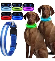 Comprar Collares Para Perros Con Luz Led Para Bancos De Mascotas: 16