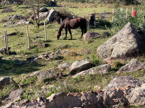 Imagen 5 de 14 de Campo En Zona Las Cañas