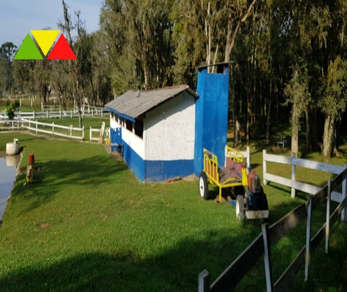 Imagem 14 de 30 de Chácara Em Cai De Baixo - Ch00088 - 34982990
