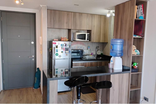 Vive En Macul: Departamento Mariposa Amoblado