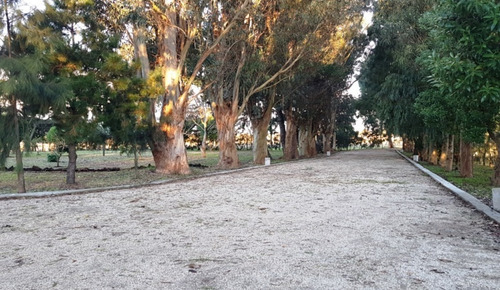 Imagen 3 de 13 de Terreno En Venta En Aeroparque
