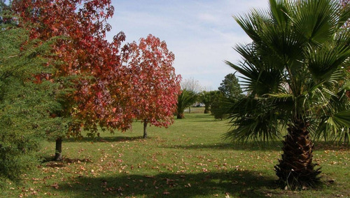 Imagen 21 de 22 de Club De Campo Posada De Los Lagos - Lote 998m2 - Ruta 2 Km 72