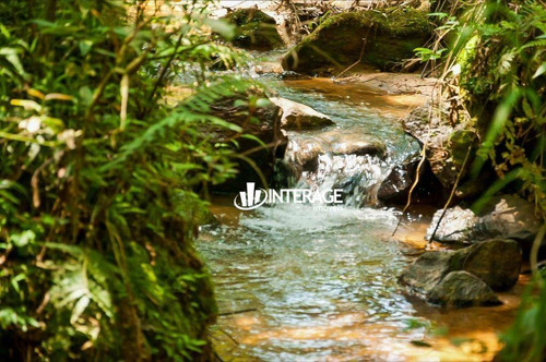 Imagem 21 de 25 de Terreno À Venda, 2335 M² Por R$ 472.900,00 - São Braz - Curitiba/pr - Te0350