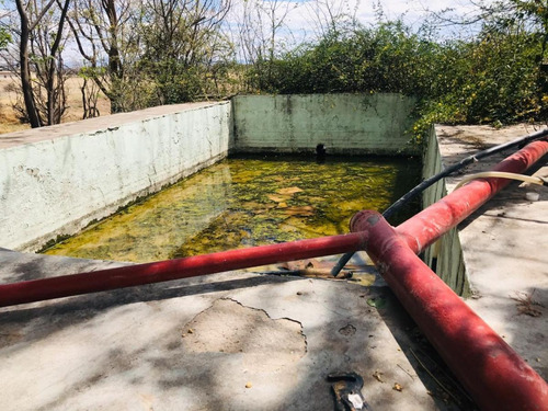 Imagen 18 de 29 de Terreno En Venta 20 Hectareas A 5 Min Boulevard Francisco Villa