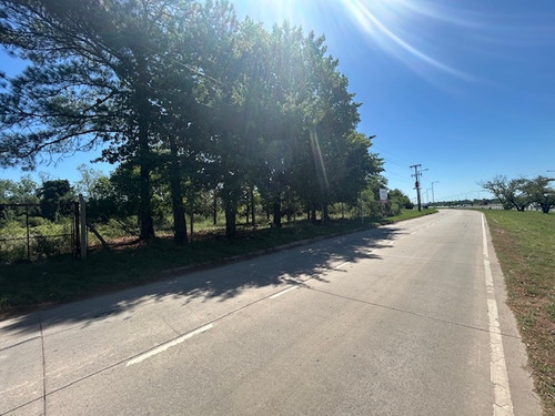 Venta Terreno / Lote Campana